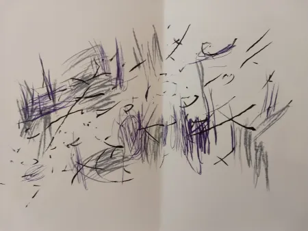 Libro Ilustrado Bazaine - Edition Tete DLM 197