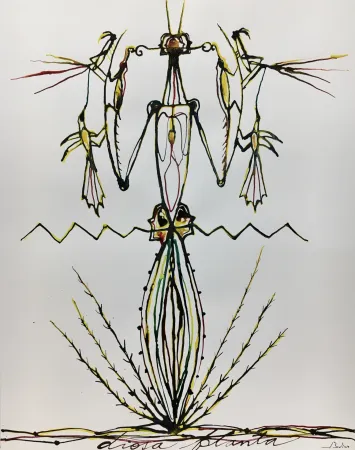 Aguatinta Bedia - Diosa Planta
