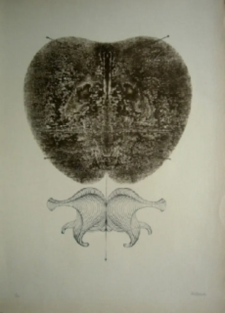 Litografía Bellmer - Bottines