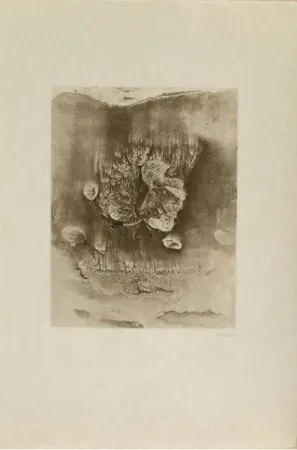 Grabado Bellmer -  Entre deux eaux