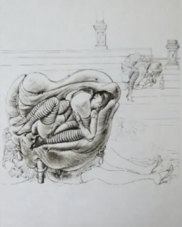 Aguafuerte Y Aguatinta Bellmer - Initiation à la sexualité