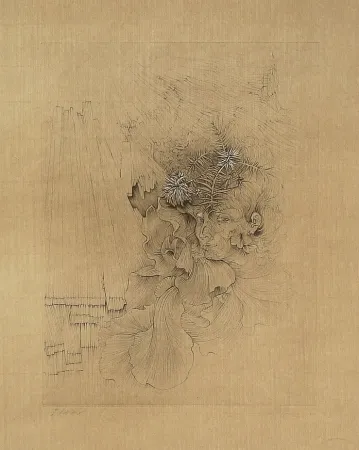 Grabado Bellmer - La Danseuse