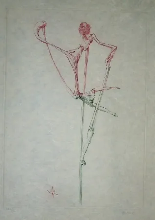 Aguafuerte Y Aguatinta Bellmer - Oeillades ciselées 7