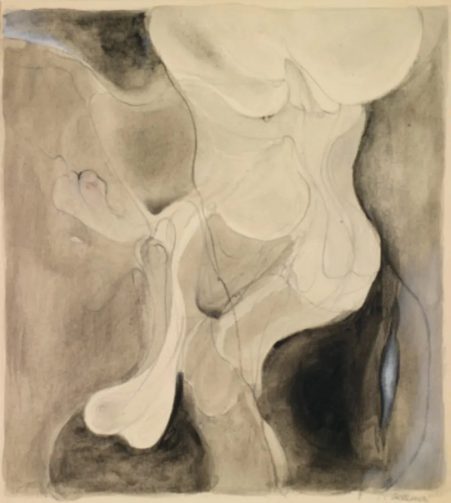 Sin Técnico Bellmer - Sans titre