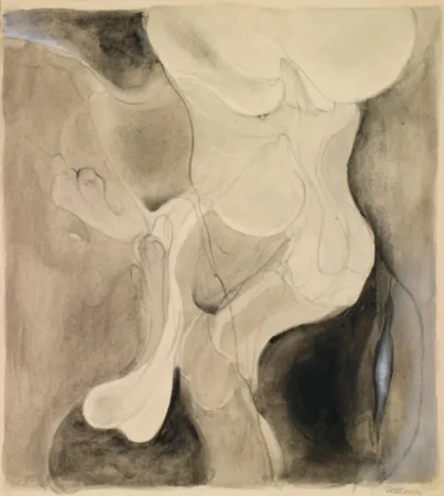 Sin Técnico Bellmer - Sans titre