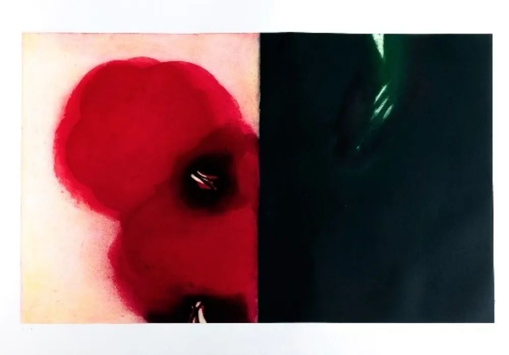 Aguafuerte Y Aguatinta Benati - Affiora