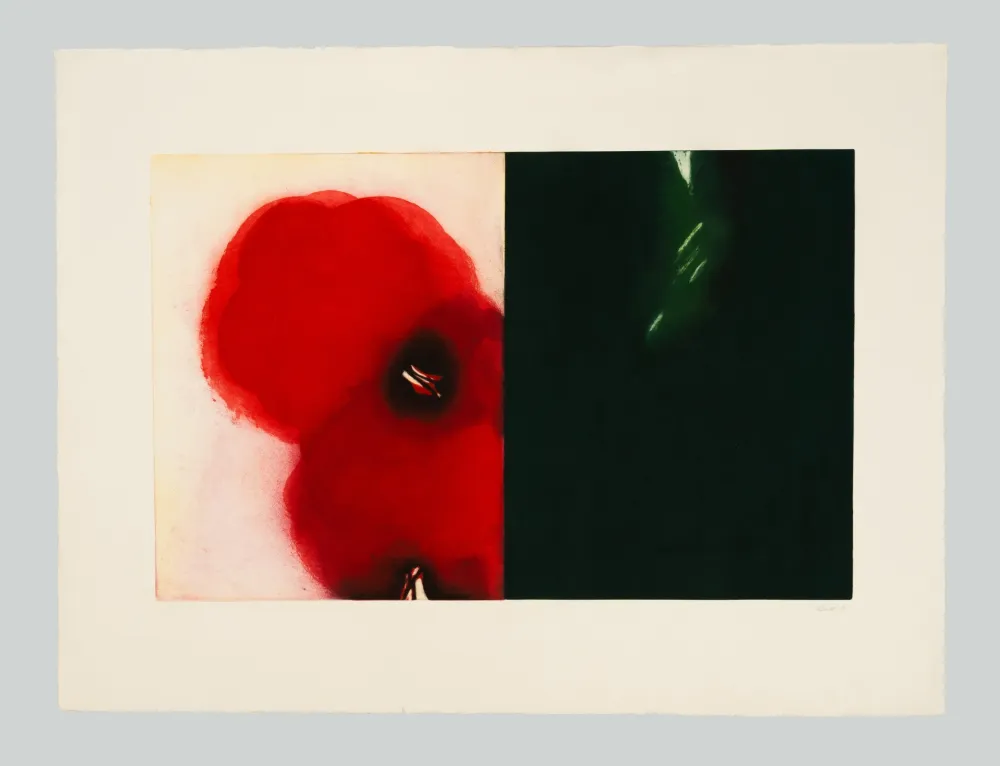 Aguafuerte Y Aguatinta Benati - Affiora