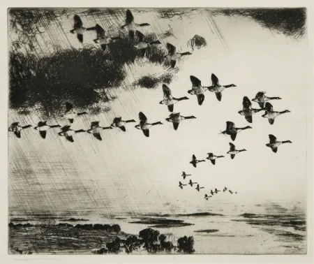 Aguafuerte Benson - The Long Journey