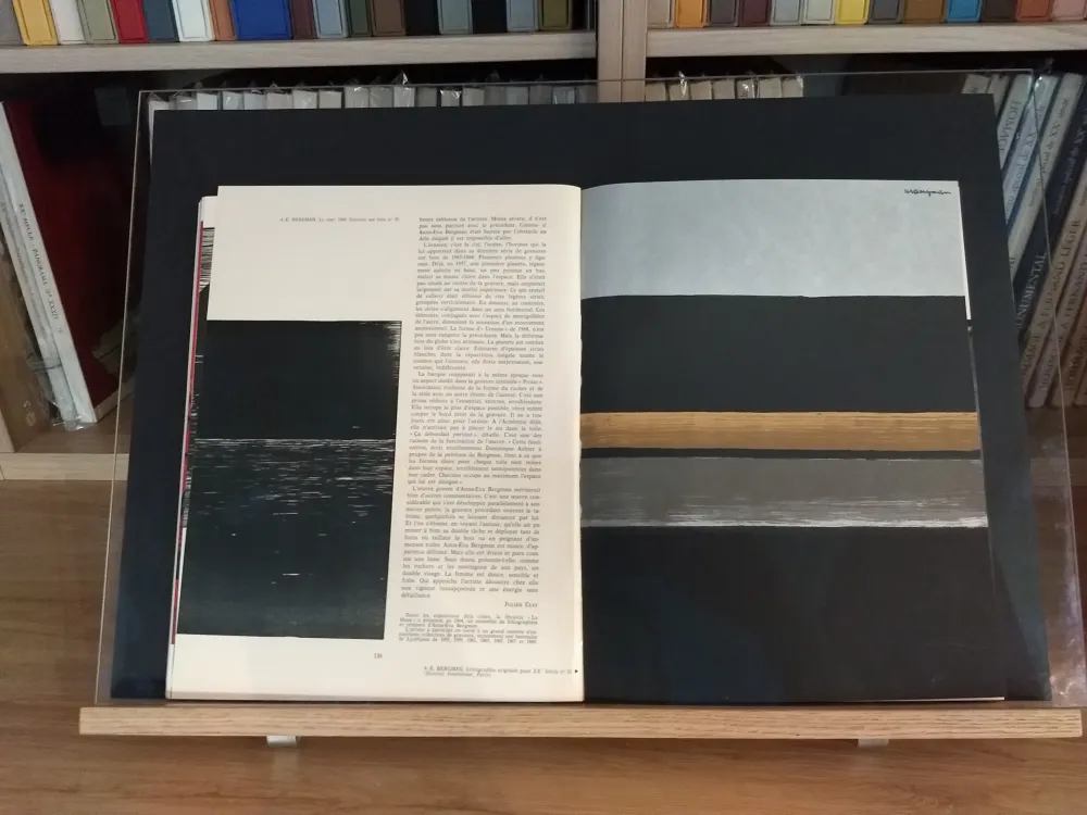 Libro Ilustrado Bergman - No 35