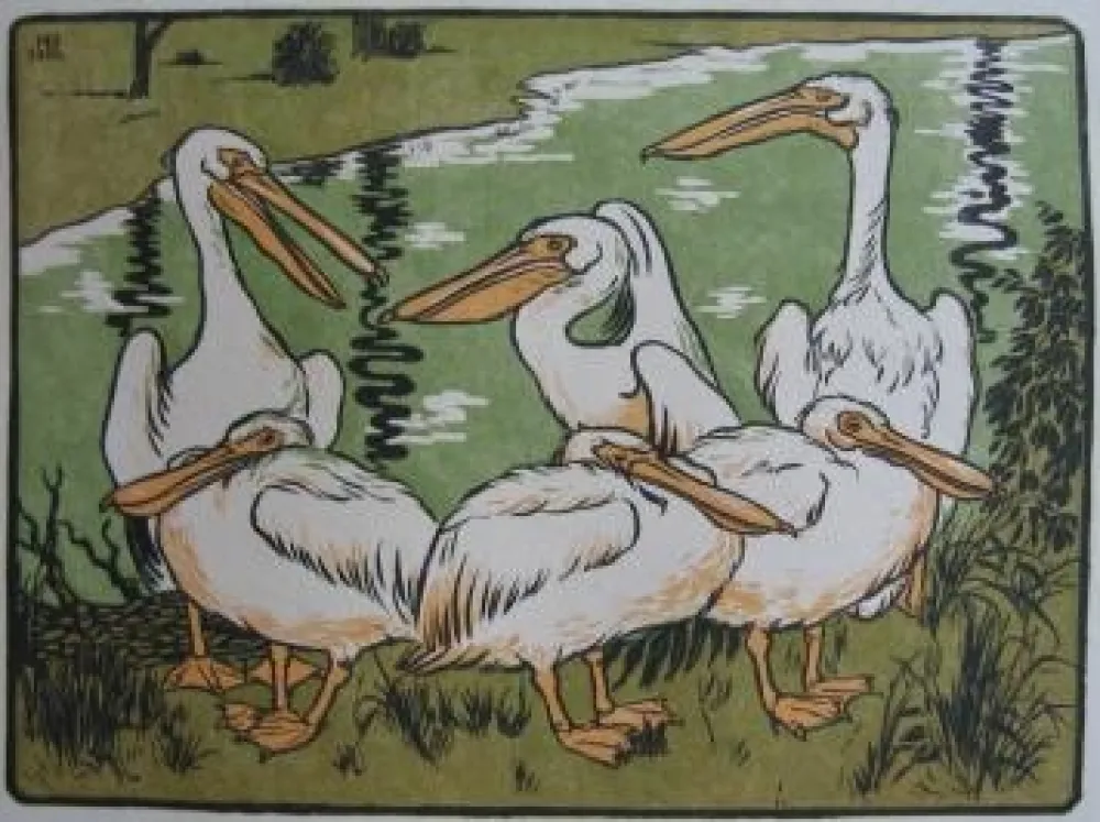 Grabado En Madera Berthold - Pelikane