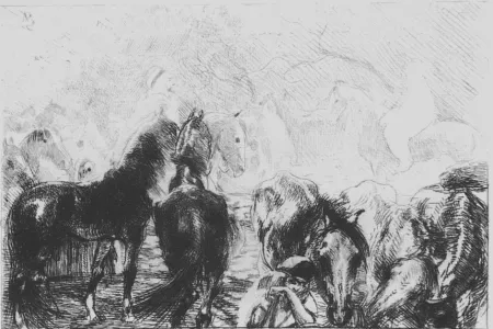 Aguafuerte Besnard - Marché aux chevaux a Mainson Carré - Algérie