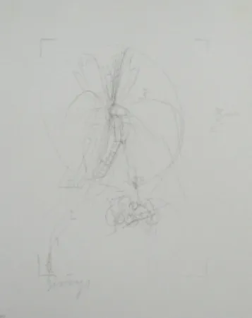 Litografía Beuys - Codices Madrid 10