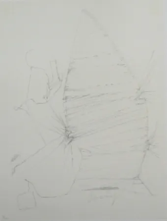 Litografía Beuys - Codices Madrid 3