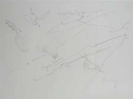 Litografía Beuys - Codices Madrid 9