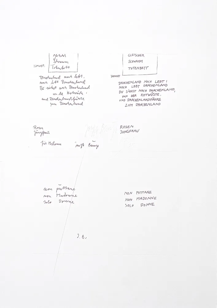 Grabado Beuys - Untitled (Gletscher Schwamm Totenbett)