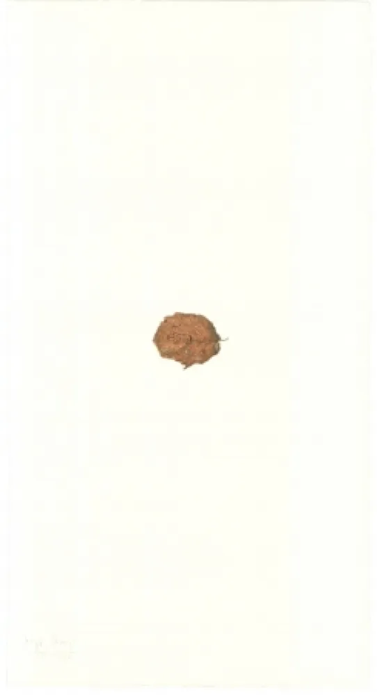 Litografía Beuys - Zirkulationszeit: Bär  Museumsausgabe