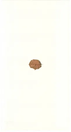 Litografía Beuys - Zirkulationszeit: Bär  Museumsausgabe