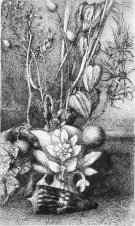 Aguafuerte Bianchi Barriviera - Natura morta