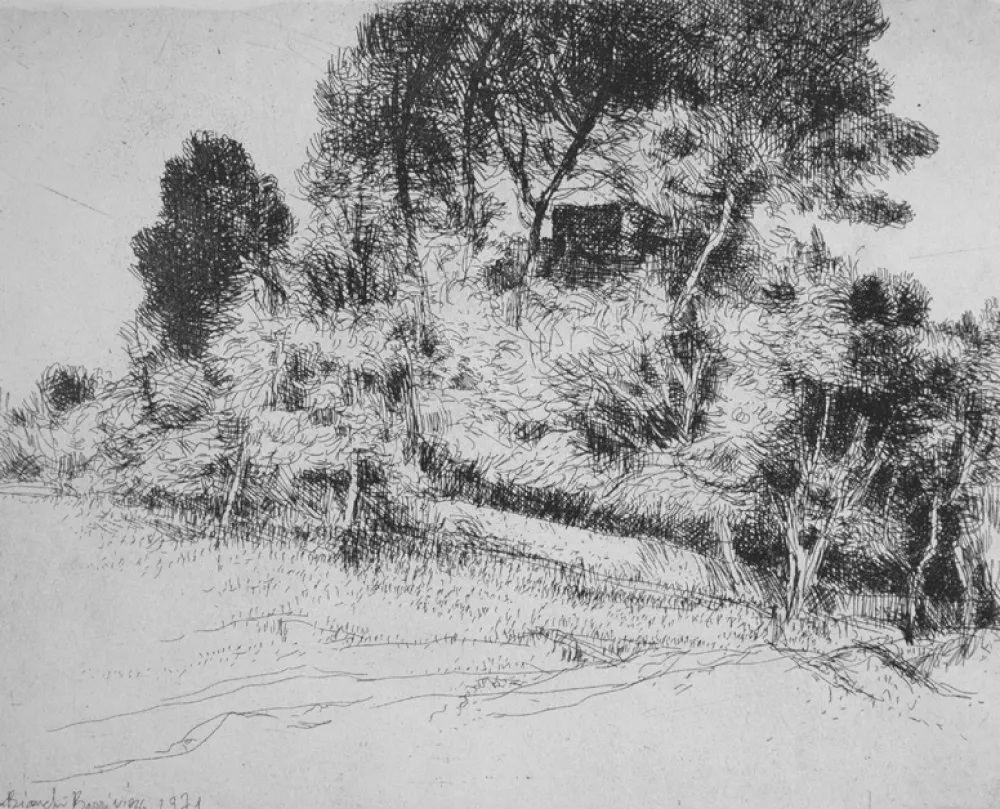 Aguafuerte Bianchi Barriviera - Paesaggio alla via Nomentana