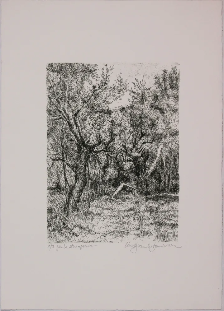 Aguafuerte Bianchi Barriviera - Untitled