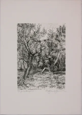 Aguafuerte Bianchi Barriviera - Untitled