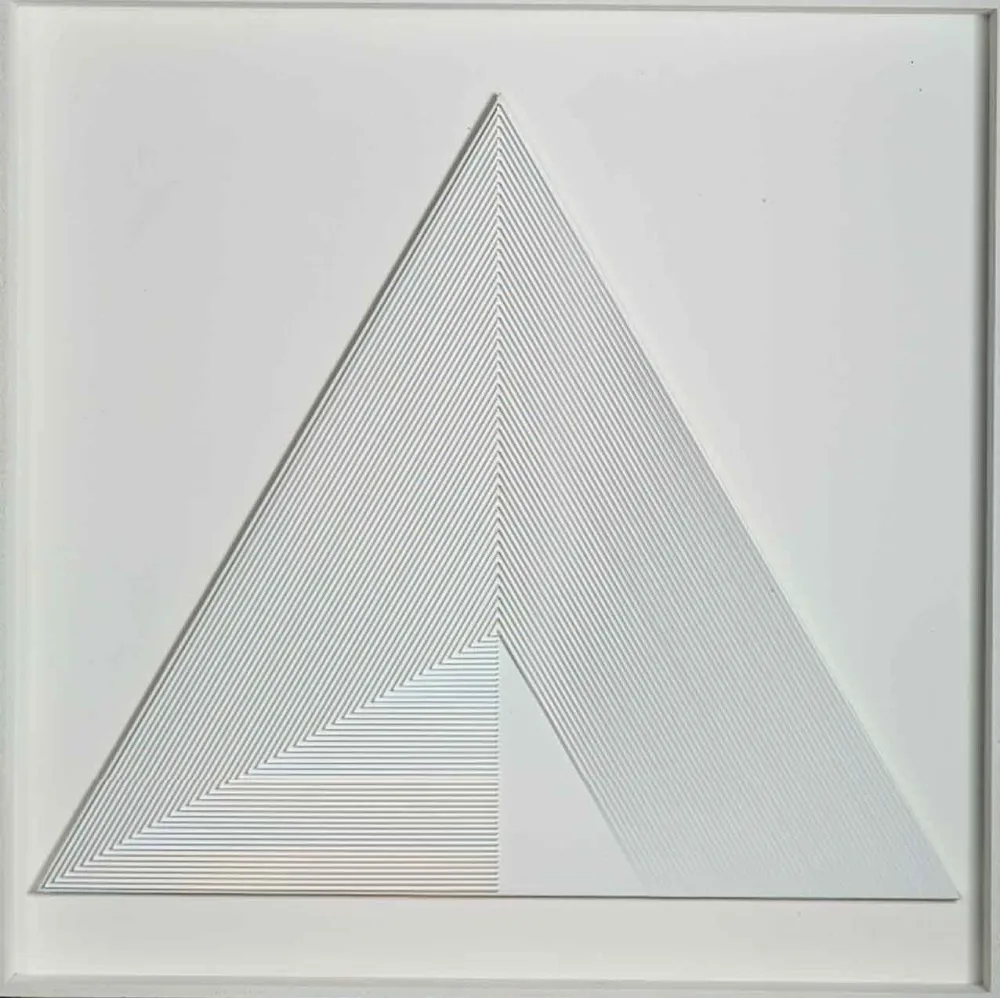 Sin Técnico Biasi - POLITIPO TRIANGOLARE