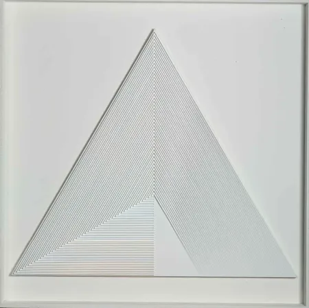 Sin Técnico Biasi - POLITIPO TRIANGOLARE