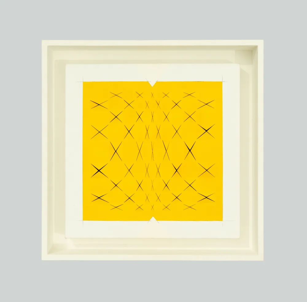 Sin Técnico Biasi - Spazio papale