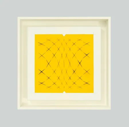 Sin Técnico Biasi - Spazio papale