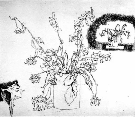 Aguafuerte Biasion - Fiori secchi e conchiglia