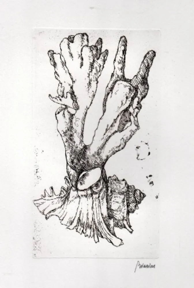 Libro Ilustrado Biasion - Venezia lontana