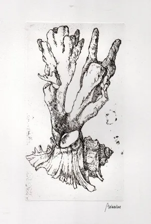 Libro Ilustrado Biasion - Venezia lontana