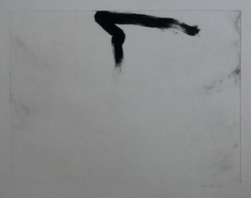 Aguafuerte Y Aguatinta Bird - Abstract 11