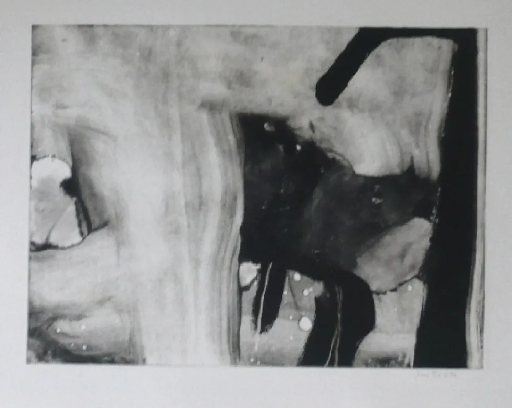 Aguafuerte Y Aguatinta Bird - Abstract 4