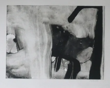 Aguafuerte Y Aguatinta Bird - Abstract 4