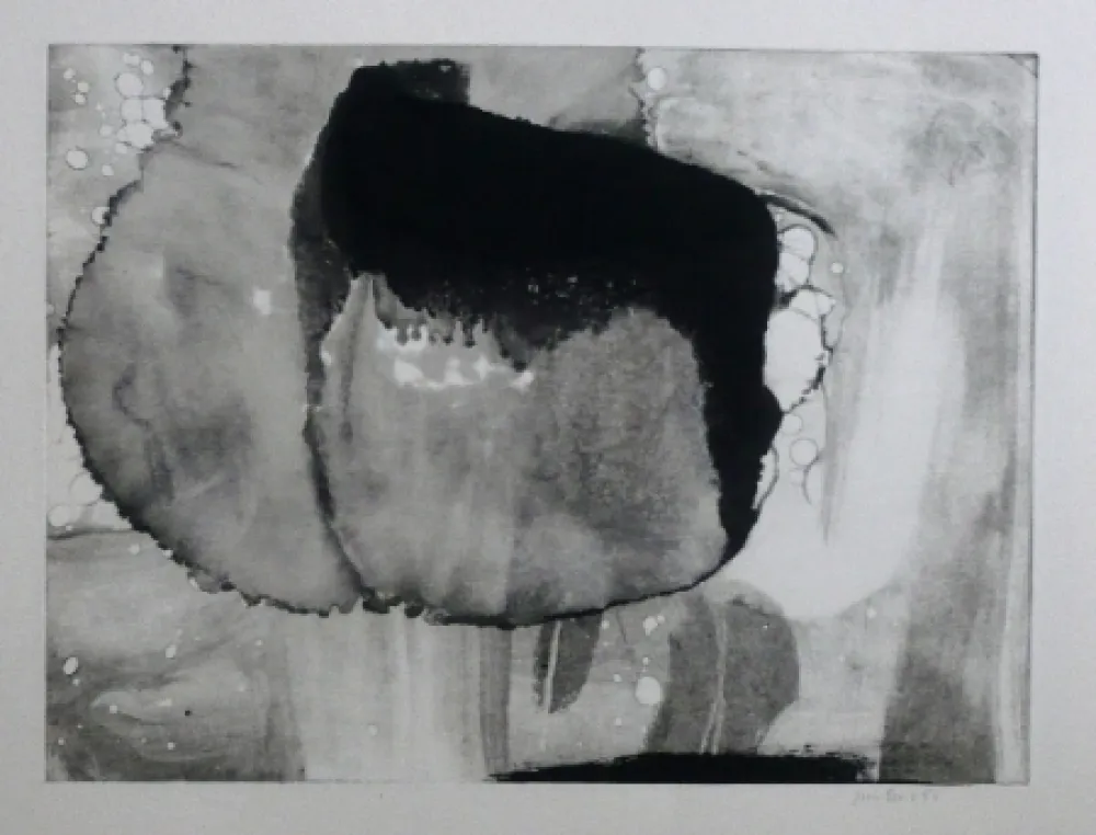 Aguafuerte Y Aguatinta Bird - Abstract 9