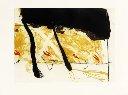 Aguafuerte Y Aguatinta Bird - Coach of black  water