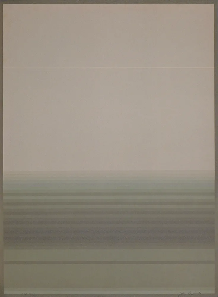 Litografía Bird - J.B.I. - 1