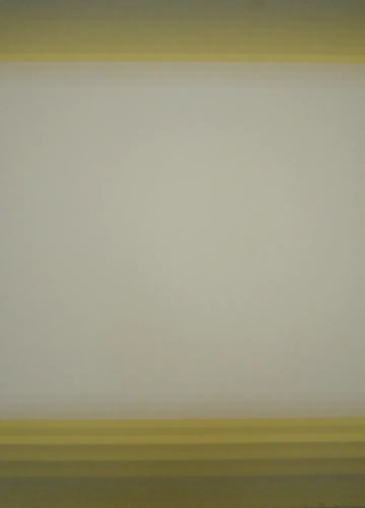 Litografía Bird - J.B.I. - 10