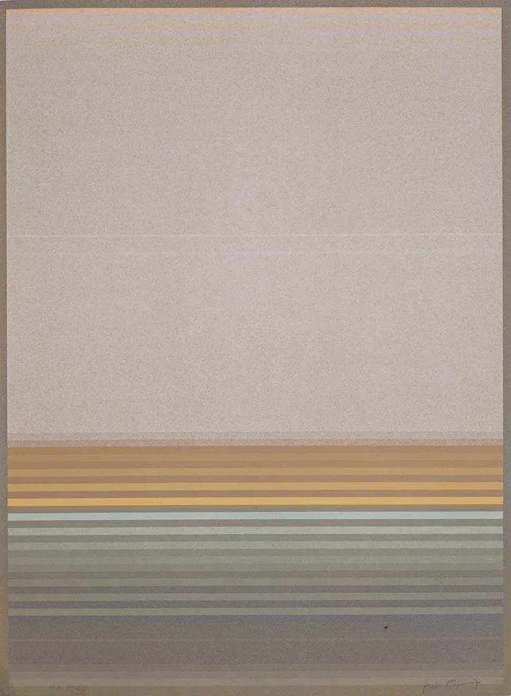 Libro Ilustrado Bird - J.B.I. - 2