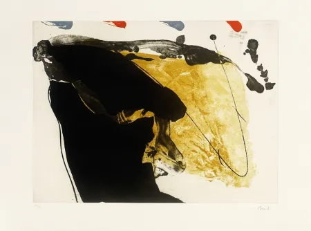 Grabado Bird - Red top