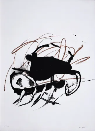 Litografía Bird - S/T