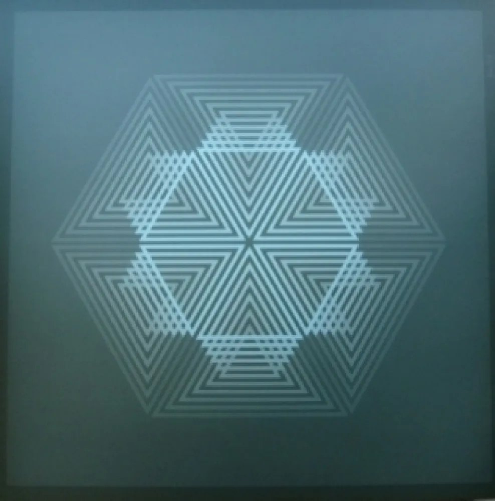 Litografía Bird - Tribute to vasarely 12