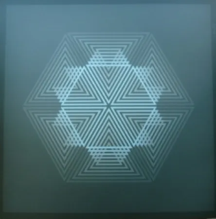 Litografía Bird - Tribute to vasarely 12