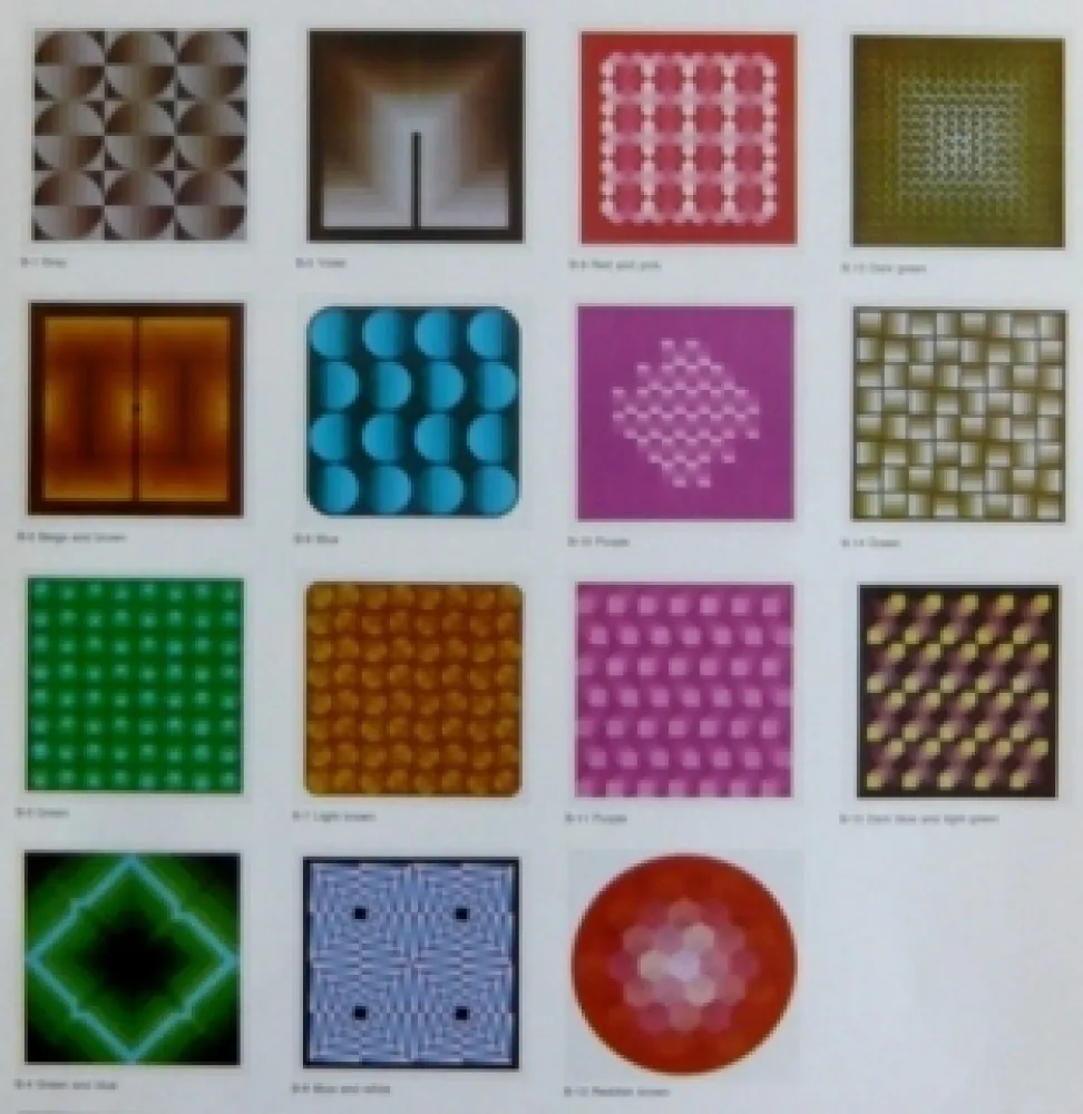 Litografía Bird - Vasarely reflections - 15 lithographs