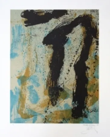 Litografía Bohary - Water fall river