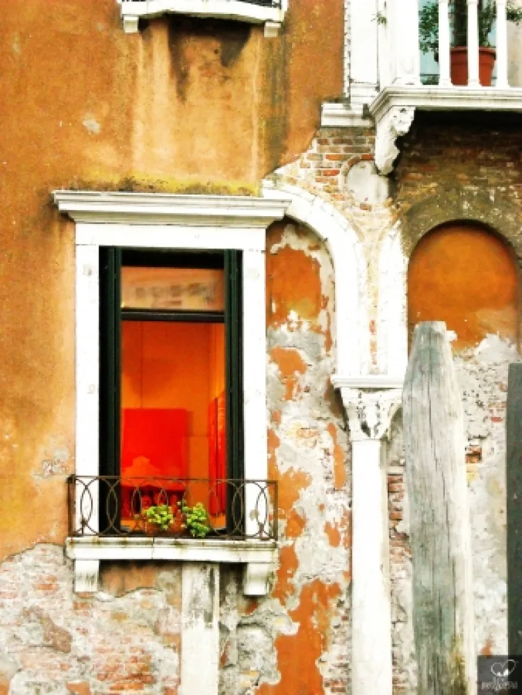 Fotografía Bohorquez - Arco