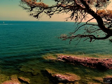 Fotografía Bohorquez - Bleu