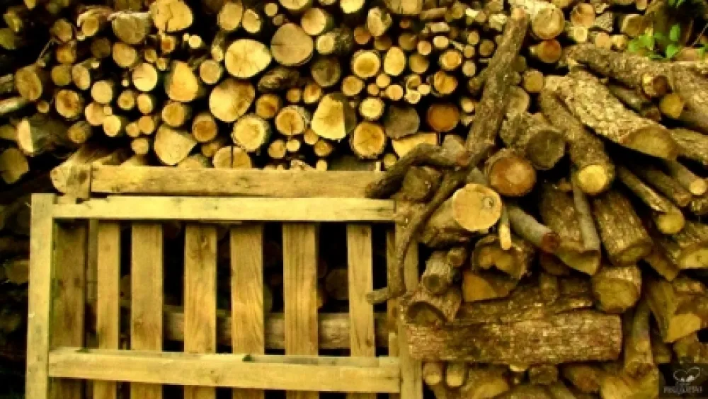 Fotografía Bohorquez - Palos de Moguer