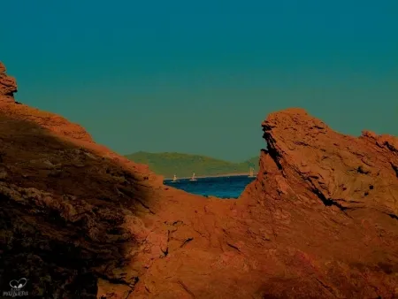 Fotografía Bohorquez - Rocosas